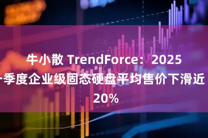 牛小散 TrendForce：2025 年一季度企业级固态硬盘平均售价下滑近 20%