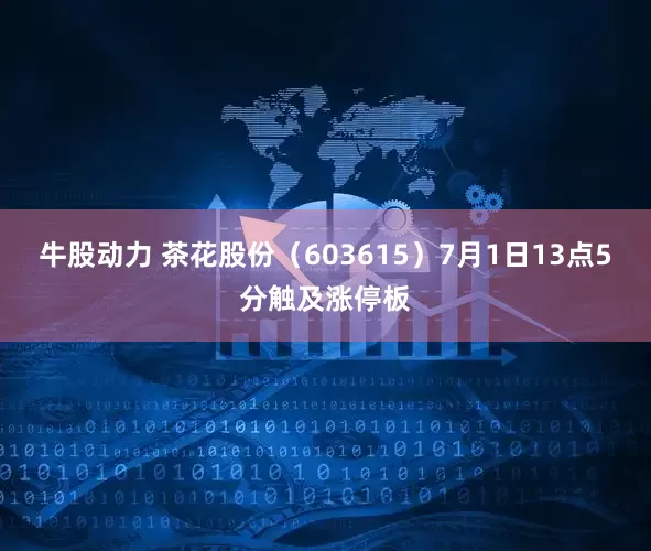 牛股动力 茶花股份（603615）7月1日13点5分触及涨停板