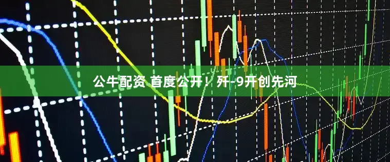 公牛配资 首度公开！歼-9开创先河