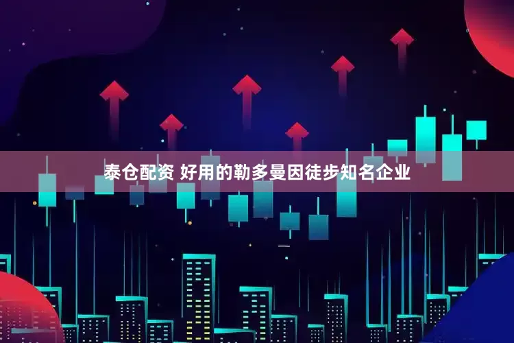 泰仓配资 好用的勒多曼因徒步知名企业