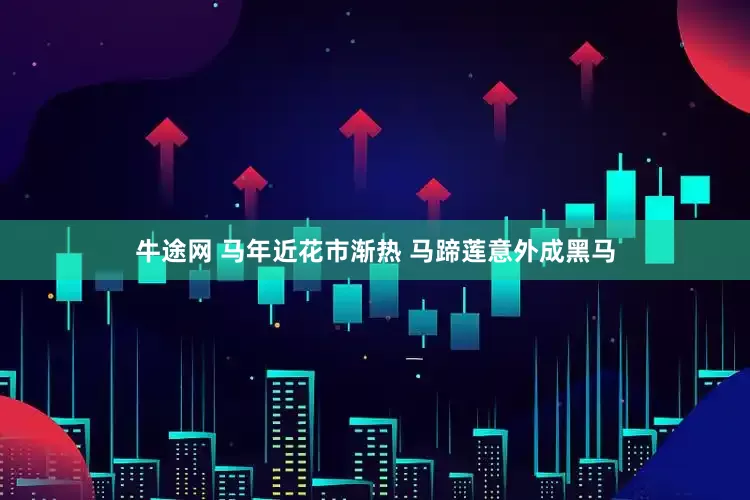 牛途网 马年近花市渐热 马蹄莲意外成黑马